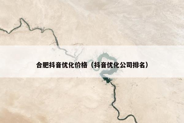合肥抖音优化价格（抖音优化公司排名）