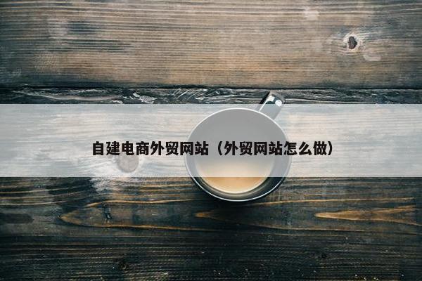 自建电商外贸网站（外贸网站怎么做）