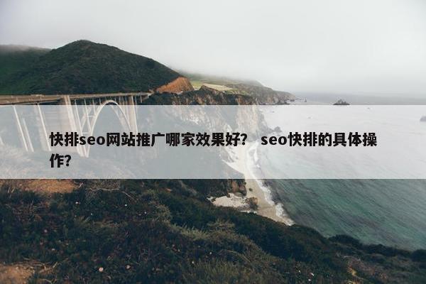 快排seo网站推广哪家效果好？ seo快排的具体操作？
