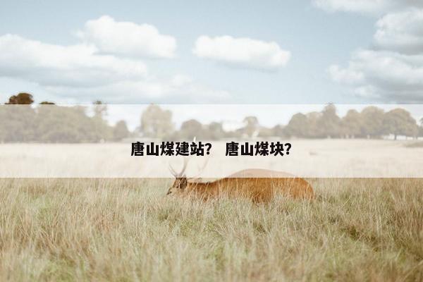 唐山煤建站？ 唐山煤块？