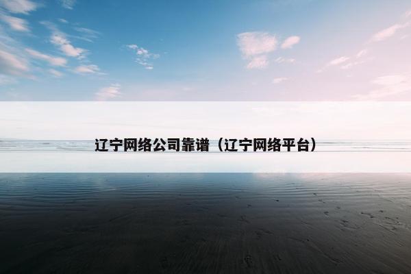 辽宁网络公司靠谱（辽宁网络平台）