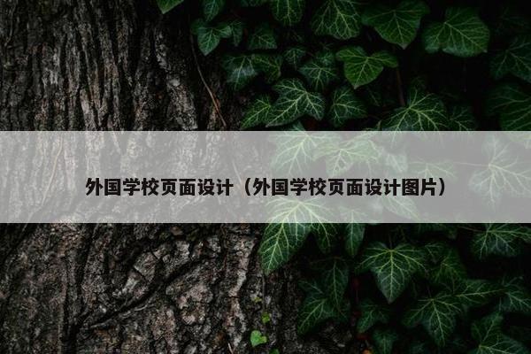 外国学校页面设计（外国学校页面设计图片）
