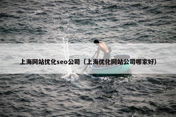 上海网站优化seo公司（上海优化网站公司哪家好）