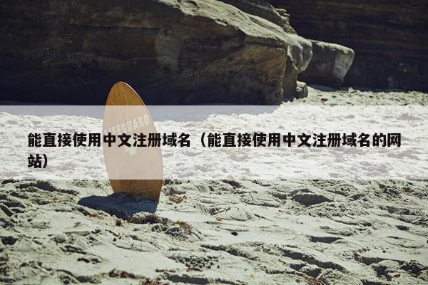 能直接使用中文注册域名（能直接使用中文注册域名的网站）