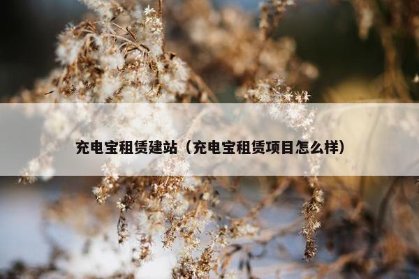 充电宝租赁建站（充电宝租赁项目怎么样）