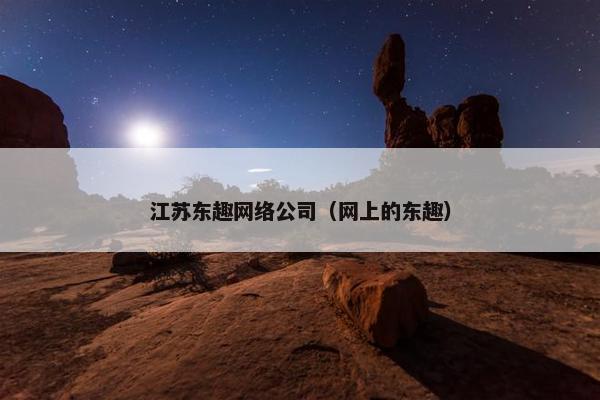 江苏东趣网络公司（网上的东趣）