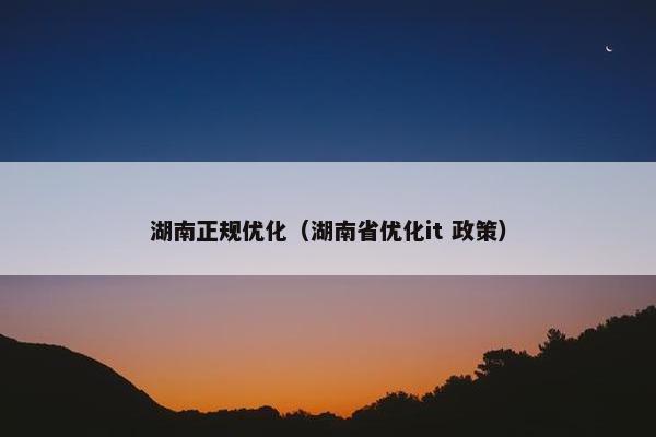 湖南正规优化（湖南省优化it 政策）