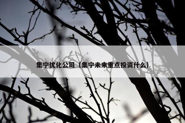 集宁优化公司（集宁未来重点投资什么）