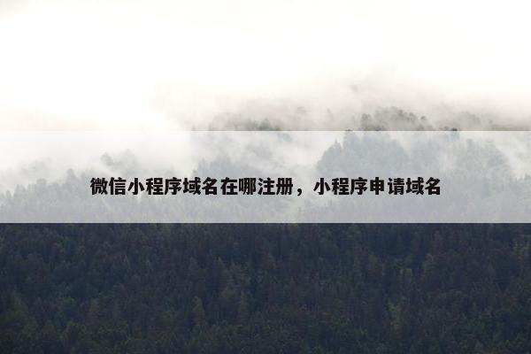 微信小程序域名在哪注册，小程序申请域名