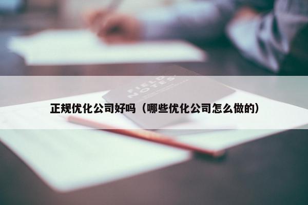 正规优化公司好吗（哪些优化公司怎么做的）