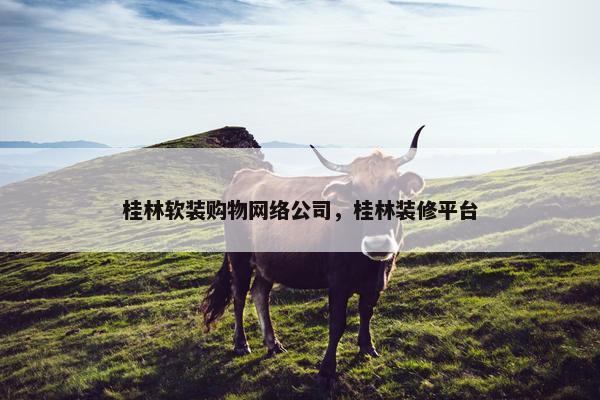 桂林软装购物网络公司，桂林装修平台