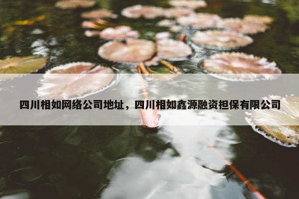四川相如网络公司地址，四川相如鑫源融资担保有限公司