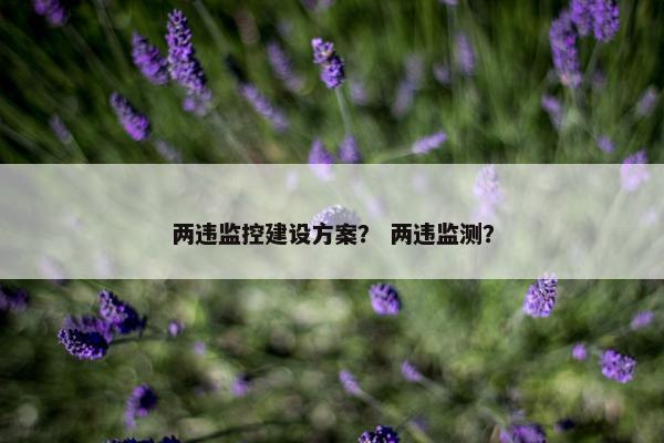 两违监控建设方案？ 两违监测？