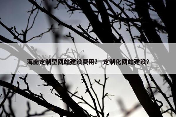 海南定制型网站建设费用？ 定制化网站建设？