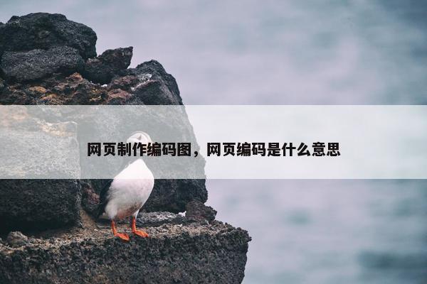 网页制作编码图，网页编码是什么意思