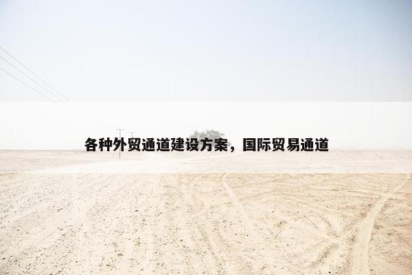 各种外贸通道建设方案，国际贸易通道