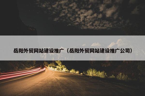 岳阳外贸网站建设推广（岳阳外贸网站建设推广公司）