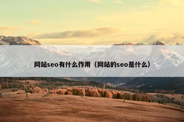 网站seo有什么作用（网站的seo是什么）