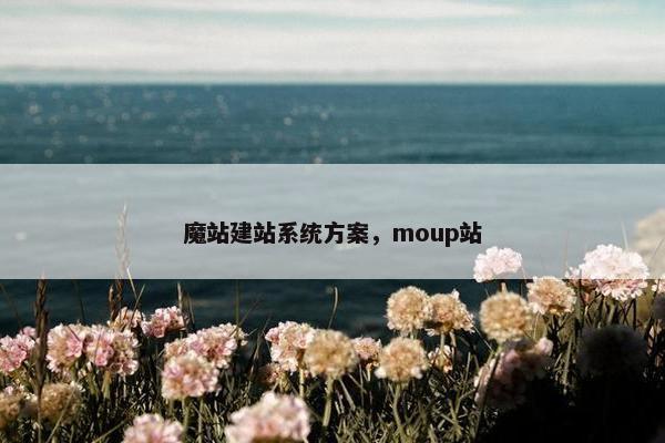 魔站建站系统方案，moup站
