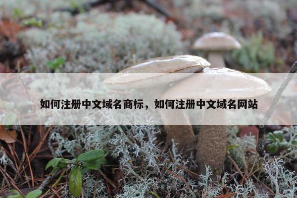 如何注册中文域名商标，如何注册中文域名网站