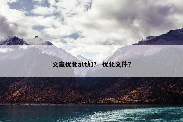 文章优化alt加？ 优化文件？
