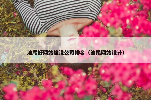 汕尾好网站建设公司排名（汕尾网站设计）