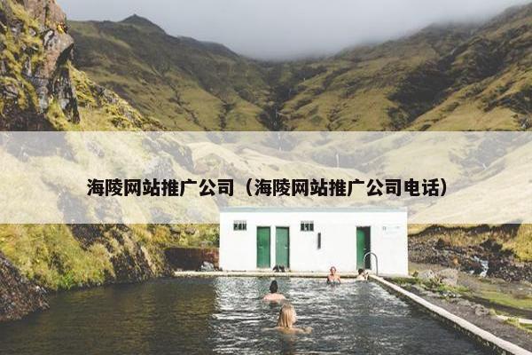 海陵网站推广公司（海陵网站推广公司电话）