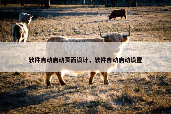 软件自动启动页面设计，软件自动启动设置