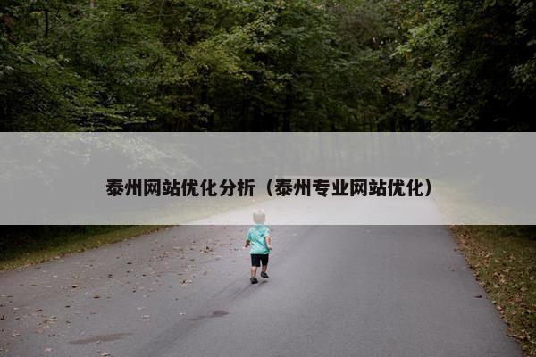 泰州网站优化分析（泰州专业网站优化）