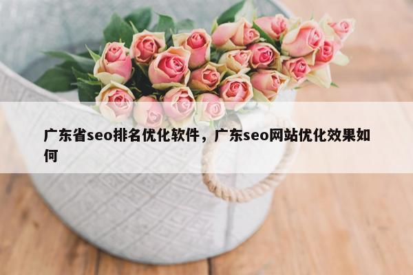 广东省seo排名优化软件，广东seo网站优化效果如何