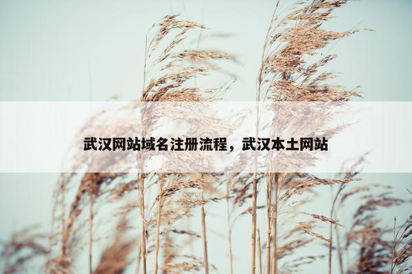武汉网站域名注册流程，武汉本土网站