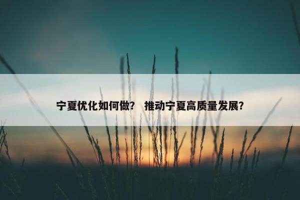 宁夏优化如何做？ 推动宁夏高质量发展？