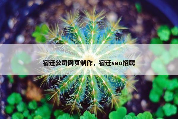宿迁公司网页制作，宿迁seo招聘