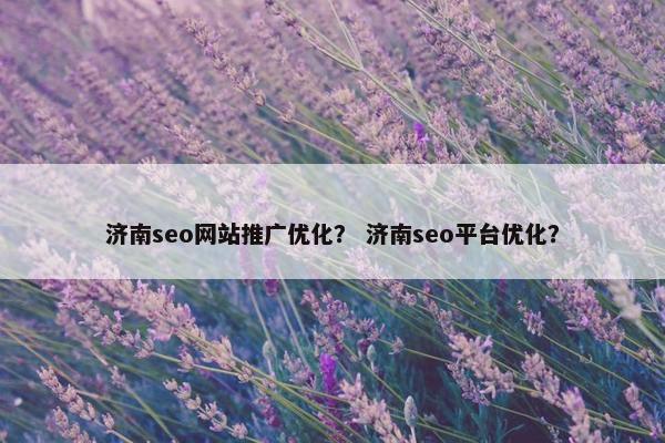 济南seo网站推广优化？ 济南seo平台优化？