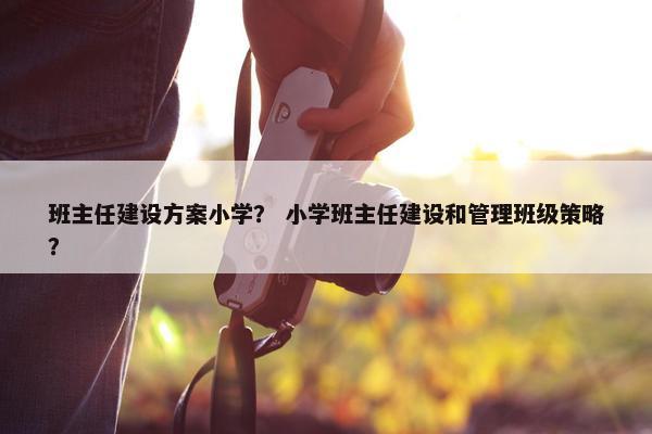 班主任建设方案小学？ 小学班主任建设和管理班级策略？