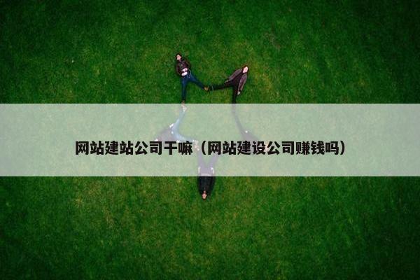 网站建站公司干嘛（网站建设公司赚钱吗）
