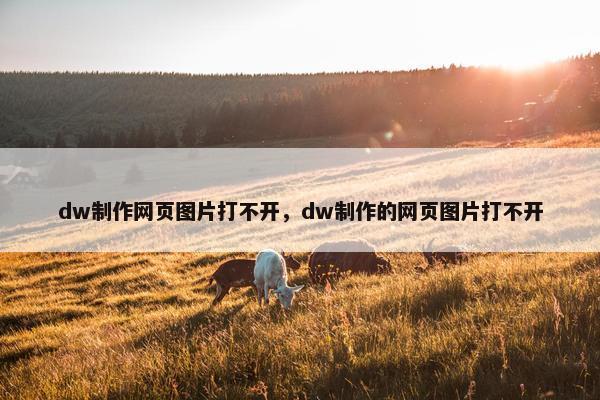 dw制作网页图片打不开，dw制作的网页图片打不开