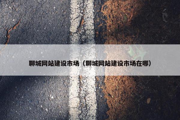 聊城网站建设市场（聊城网站建设市场在哪）