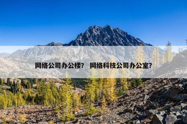 网络公司办公楼？ 网络科技公司办公室？