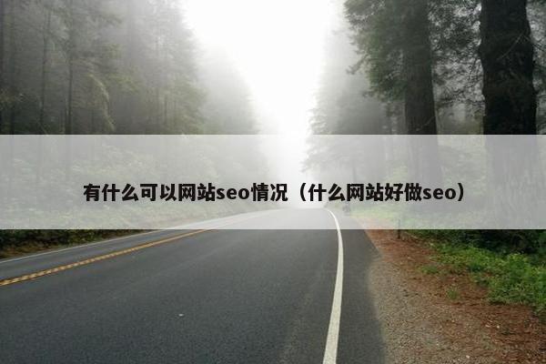 有什么可以网站seo情况（什么网站好做seo）