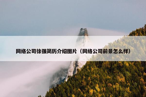网络公司徐强简历介绍图片（网络公司前景怎么样）