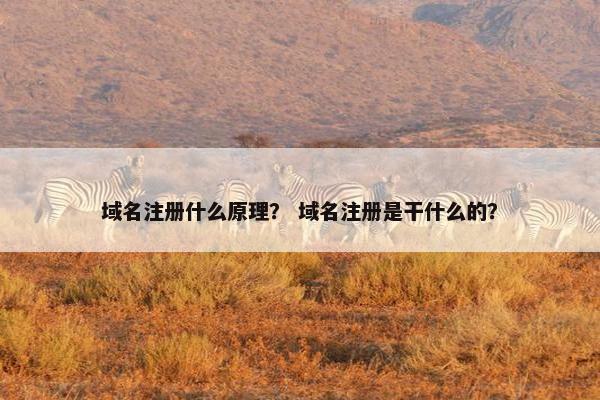 域名注册什么原理？ 域名注册是干什么的？