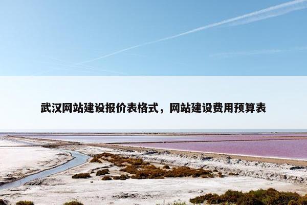 武汉网站建设报价表格式，网站建设费用预算表