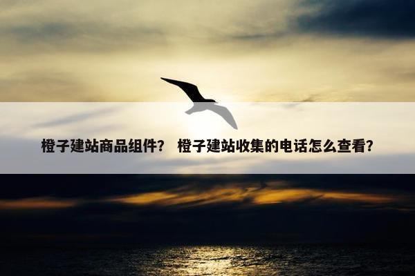 橙子建站商品组件？ 橙子建站收集的电话怎么查看？