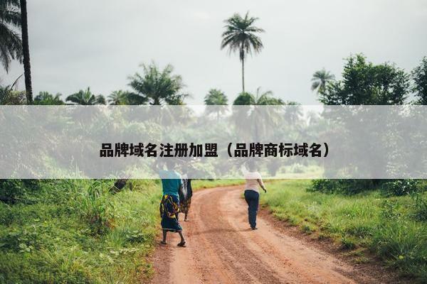 品牌域名注册加盟（品牌商标域名）