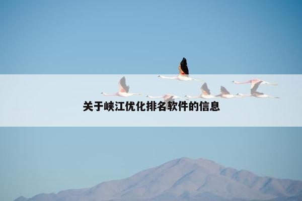 关于峡江优化排名软件的信息