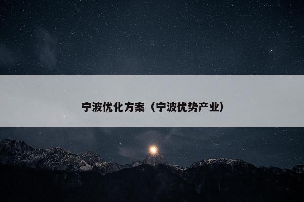 宁波优化方案（宁波优势产业）