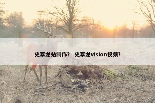 史泰龙站制作？ 史泰龙vision视频？