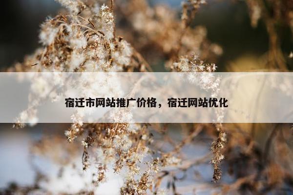 宿迁市网站推广价格，宿迁网站优化