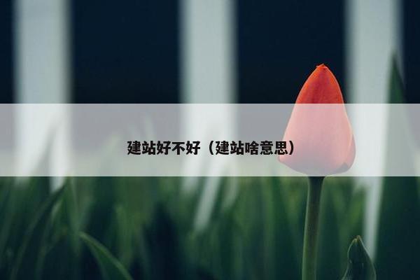 建站好不好（建站啥意思）